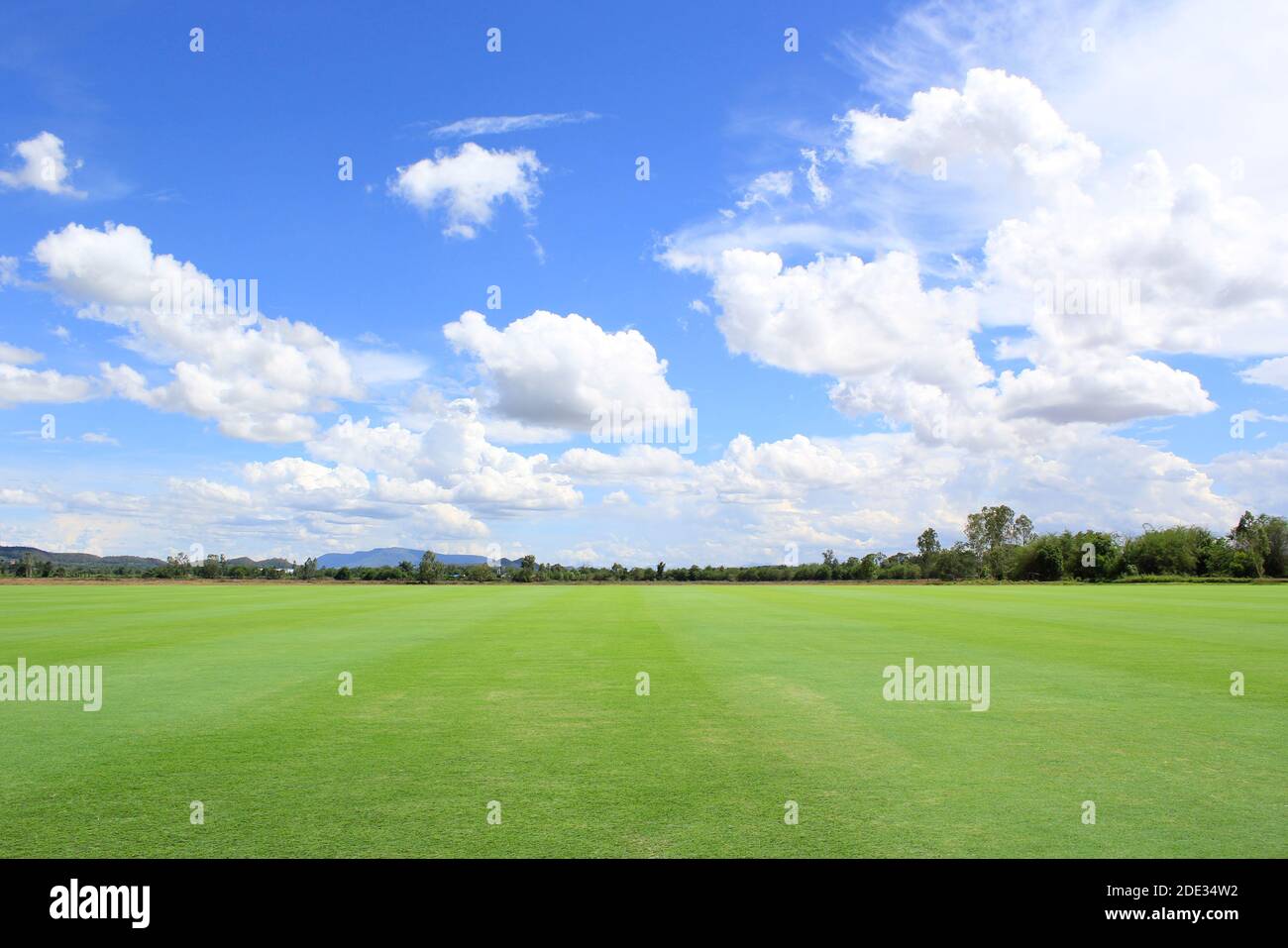 field green grass blue sky with cloud cloudy landscape background Stock ...