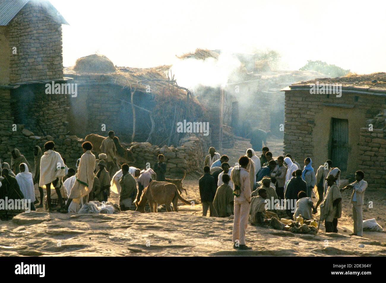Early morning view of farmers at the livestock market. Mekoni, Tigray, Ethiopia Stock Photo