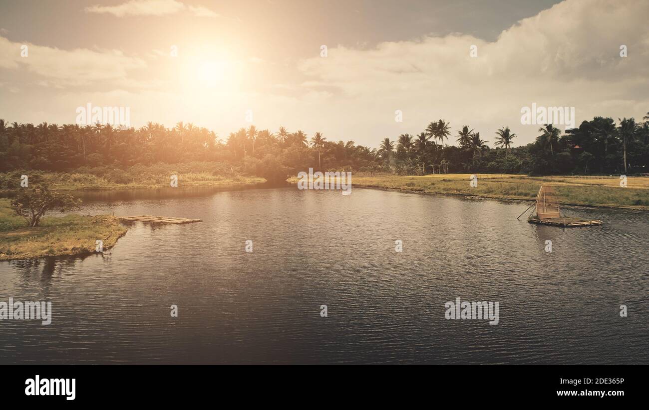 Sun tropic forest at lake shore aerial. Green grass coast at palm trees and serene water with sun reflection. Soft light nobody tropical nature landscape. Cinematic Philippines countryside scenery Stock Photo