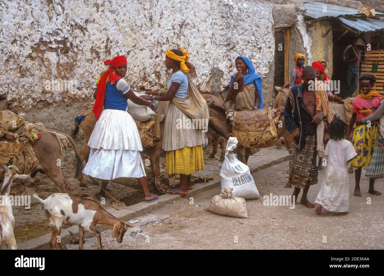 Harari women loading their donkeys with food sacks. Harar, Ethiopia, Africa Stock Photo