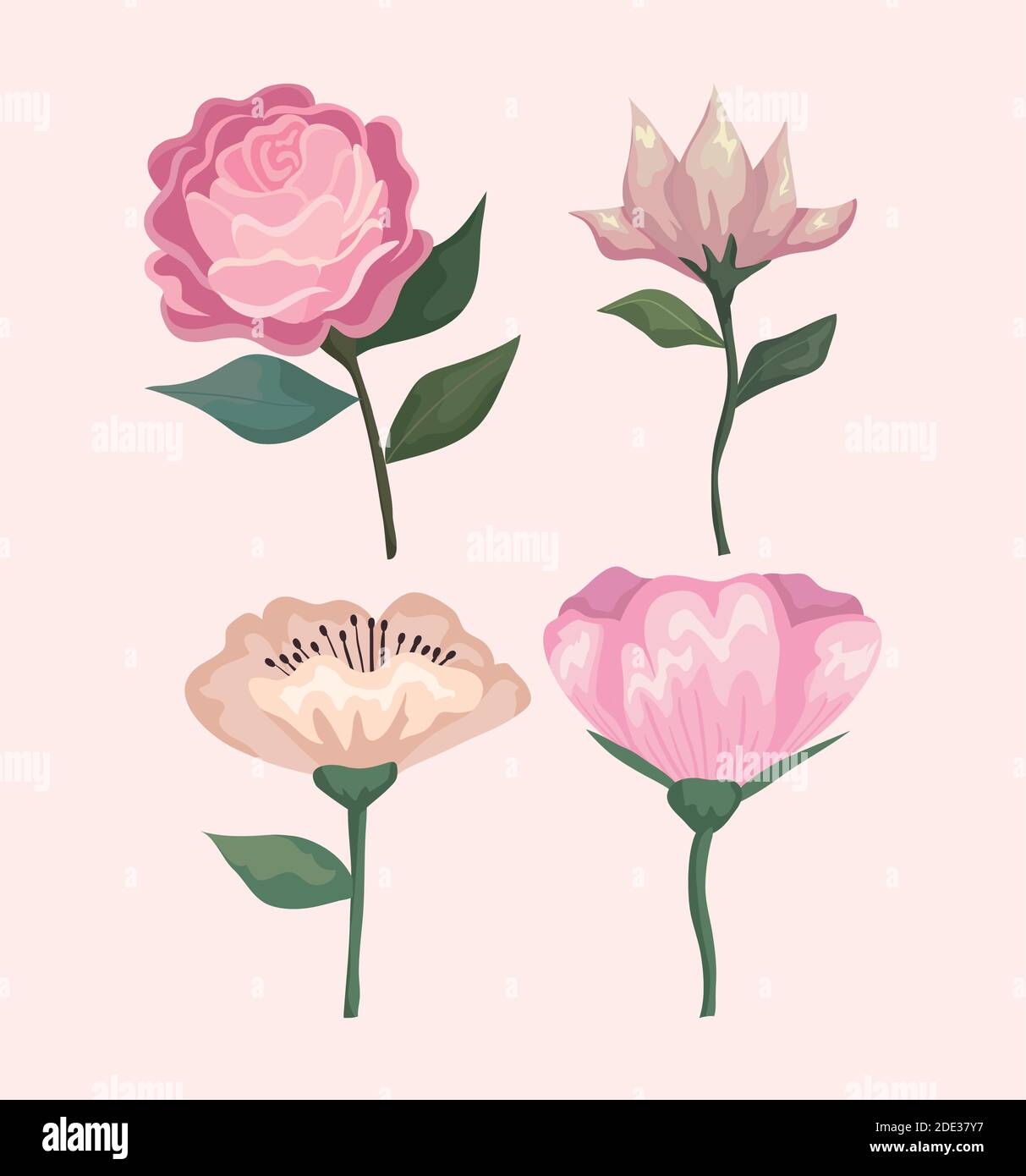 flowers pink with leaves painting set vector design Stock Vector Image ...