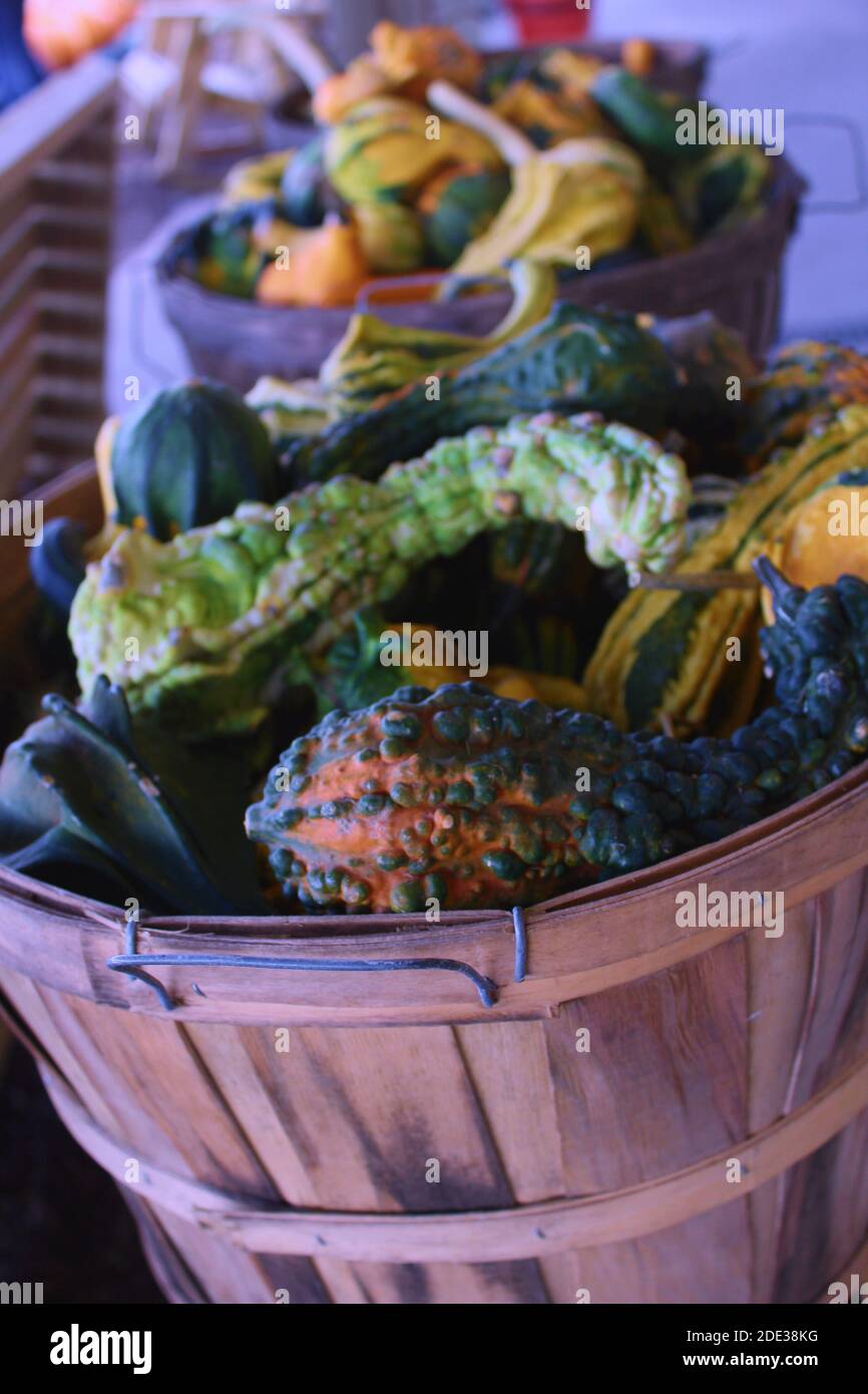 Up-close image of gourds in a basket at a Farmer's Market Stock Photo