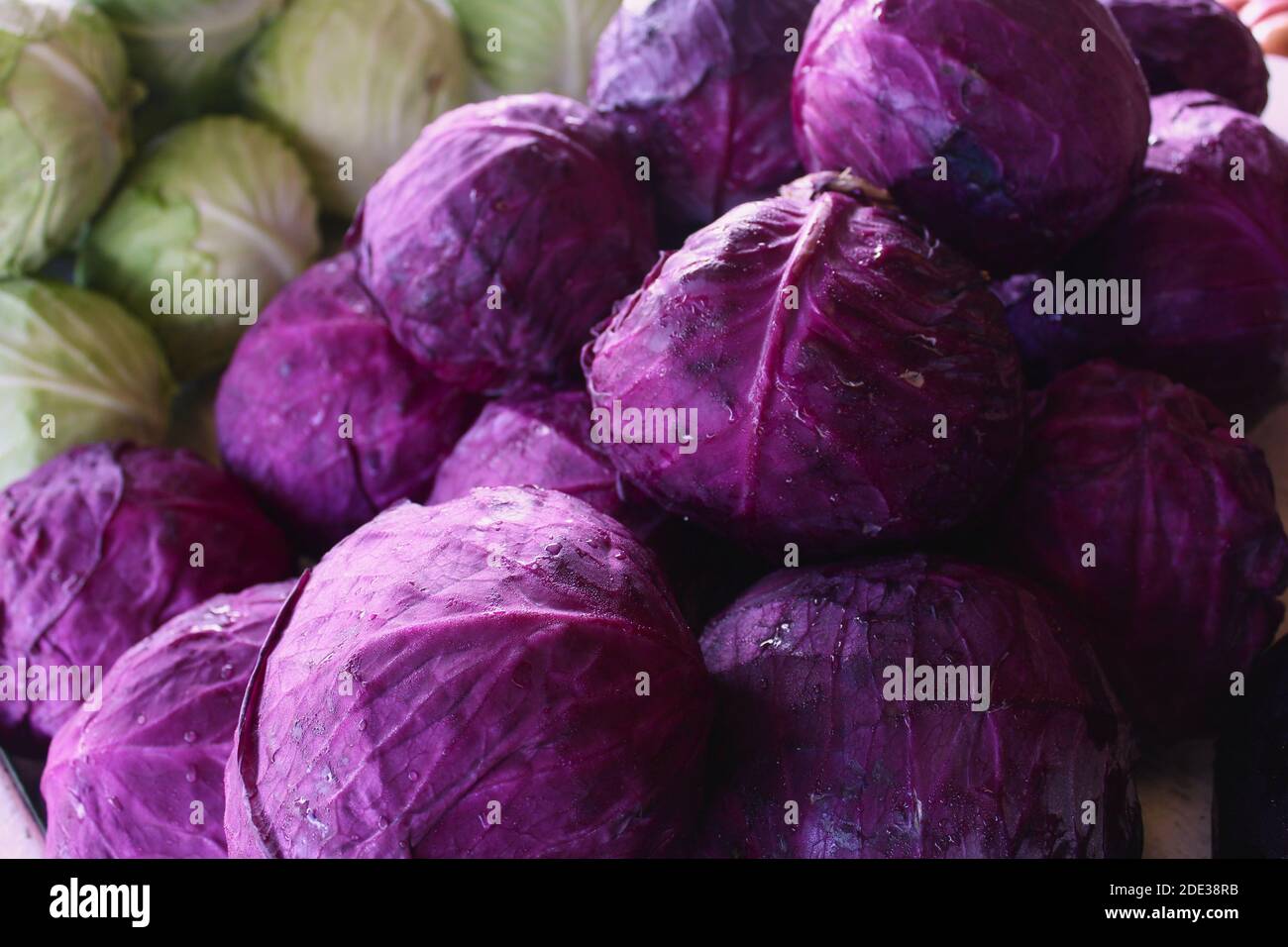 Upclose image of purple cabbages at a Farmer's Market Stock Photo Alamy