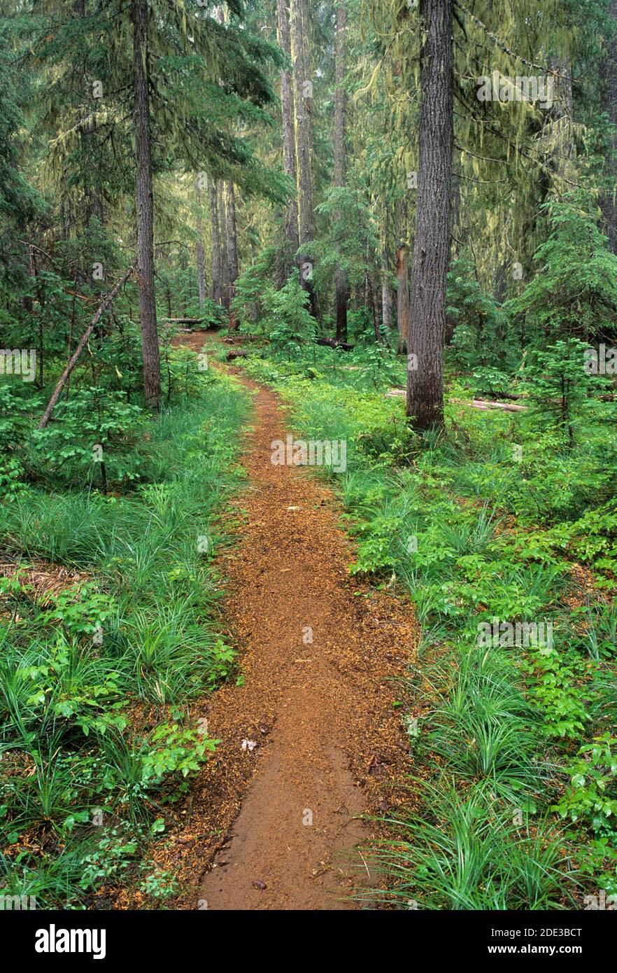 Pacific crest trail junction hi-res stock photography and images - Alamy