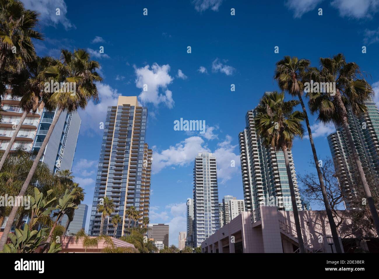 Palm trees modern buildings hi-res stock photography and images - Alamy