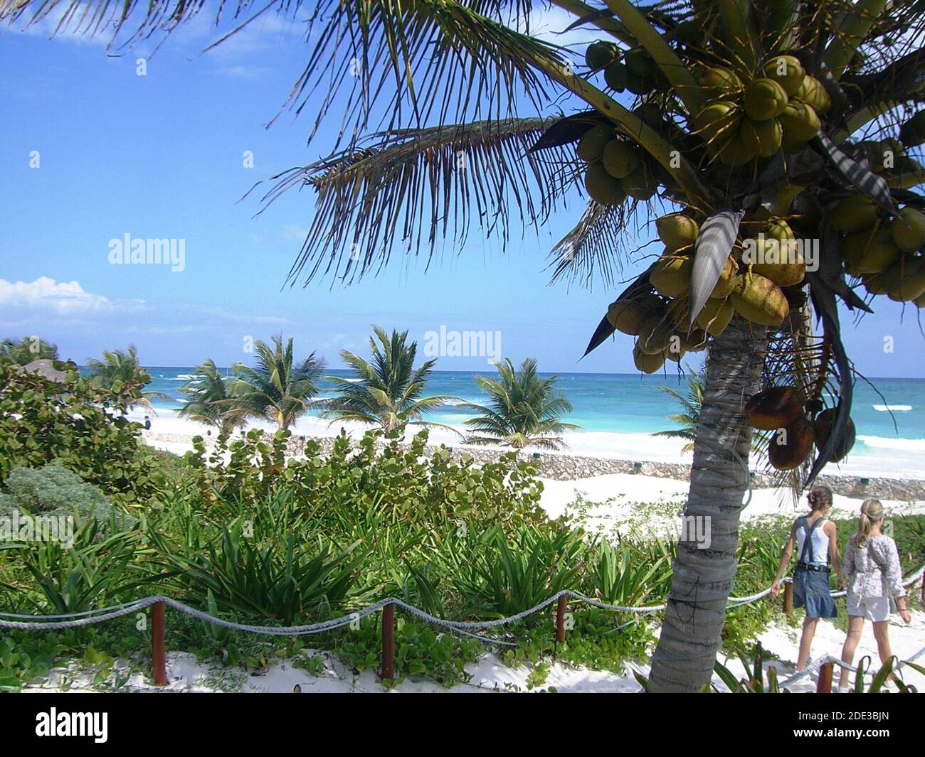 Mexique Site Archeologique Et Plages De Tulum Stock Photo Alamy