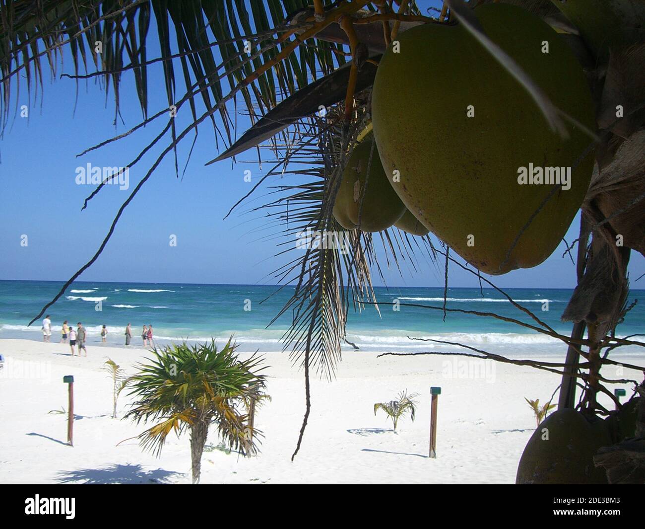 Mexique Site Archeologique Et Plages De Tulum Stock Photo Alamy