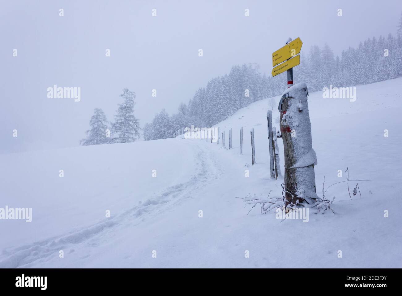 Snow covered landscape in the Austrian alps with hiking trail and signpost (Filzmoos, Salzburg county) Stock Photo