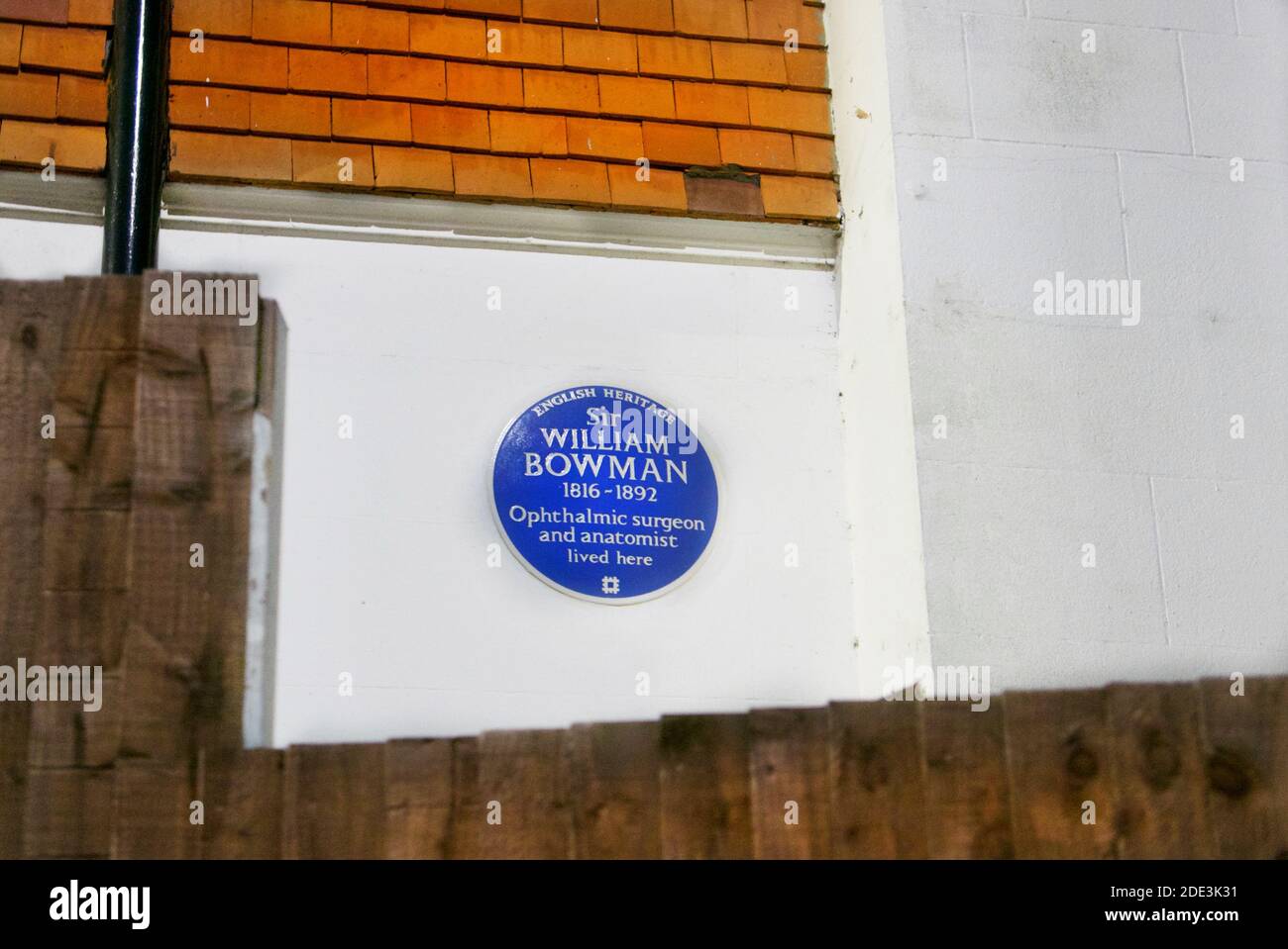 Sir William Bowman blue plaque by English Heritage in Golders Green, London, depicting where he lived. Ivy House is now occupied by St Anthonys School Stock Photo