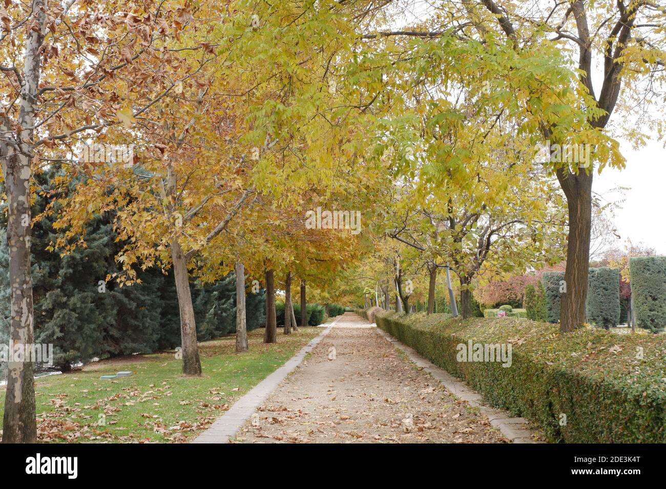 Walking Way in autumn Stock Photo