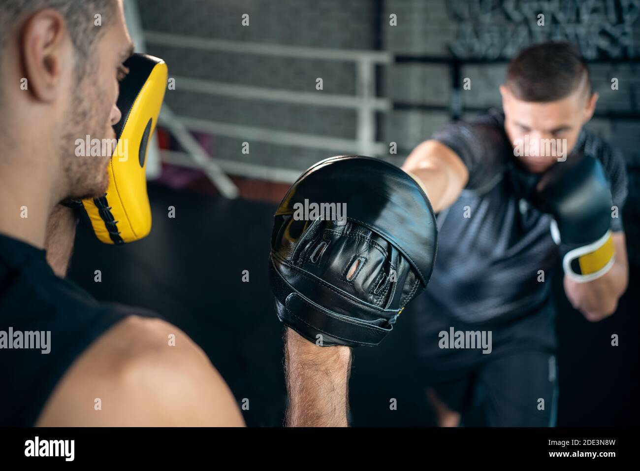 two muscle boxers sport man training and fighting on boxing ring at gym Stock Photo Alamy