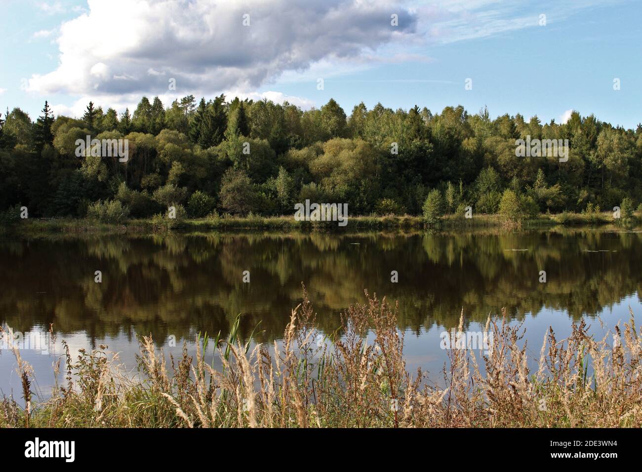 Wyżary - view of the reservoir Stock Photo