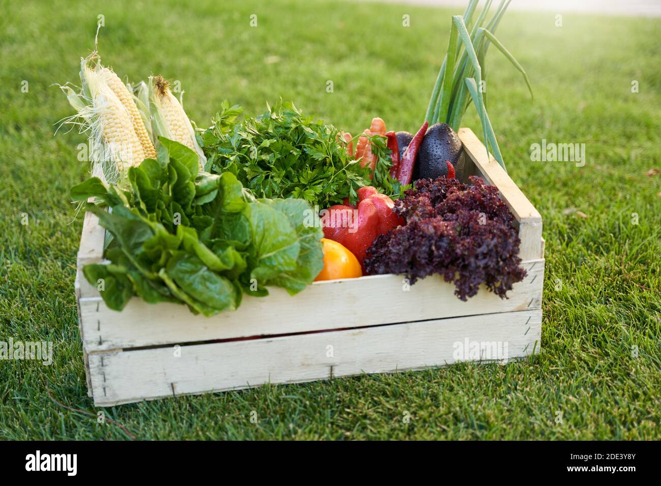 Grocery box with fresh vegetables standing on green grass outdoors ...