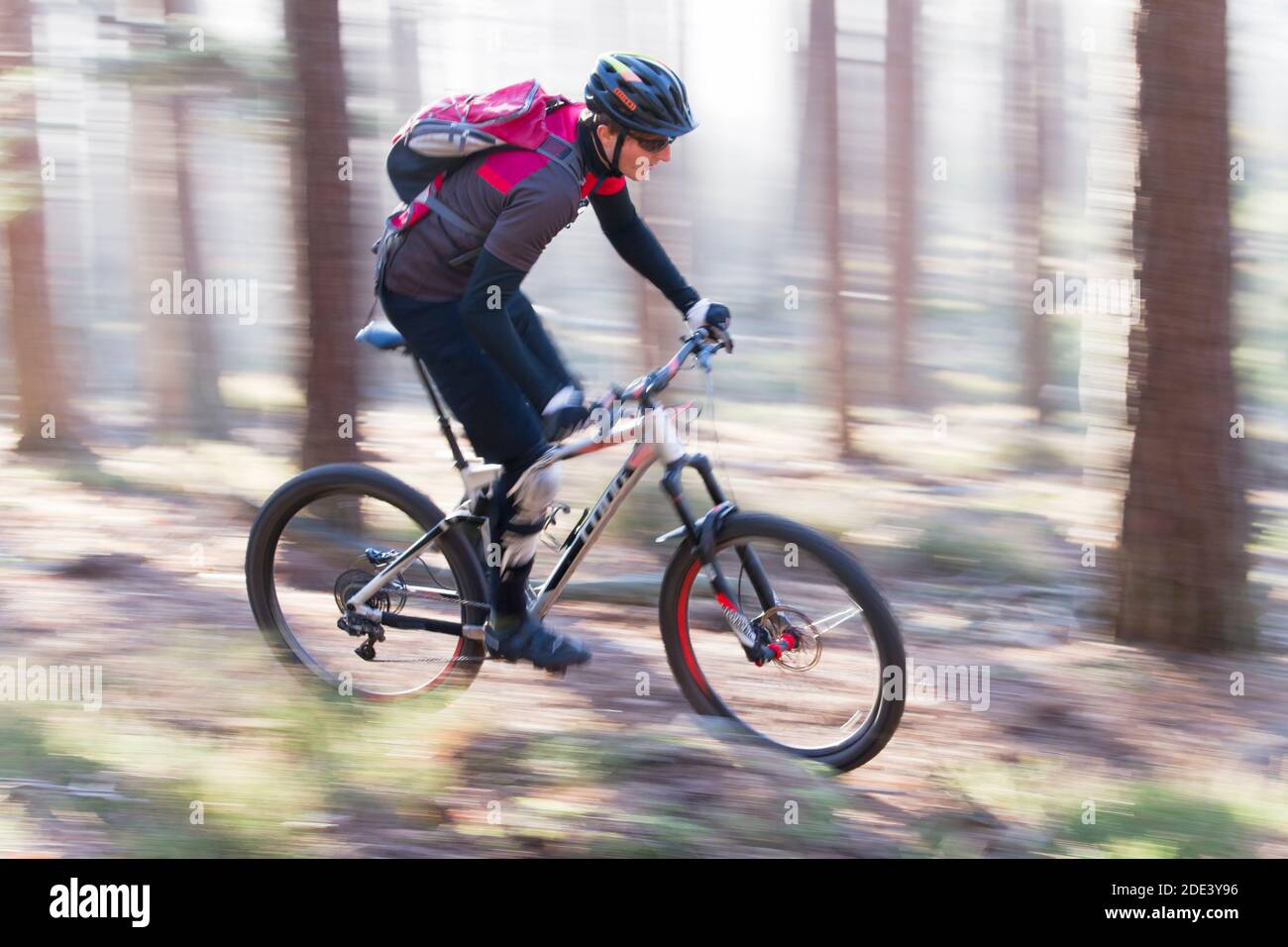 Man riding a mountain bike in a forest on a sunny day with fog - motion blurred Stock Photo