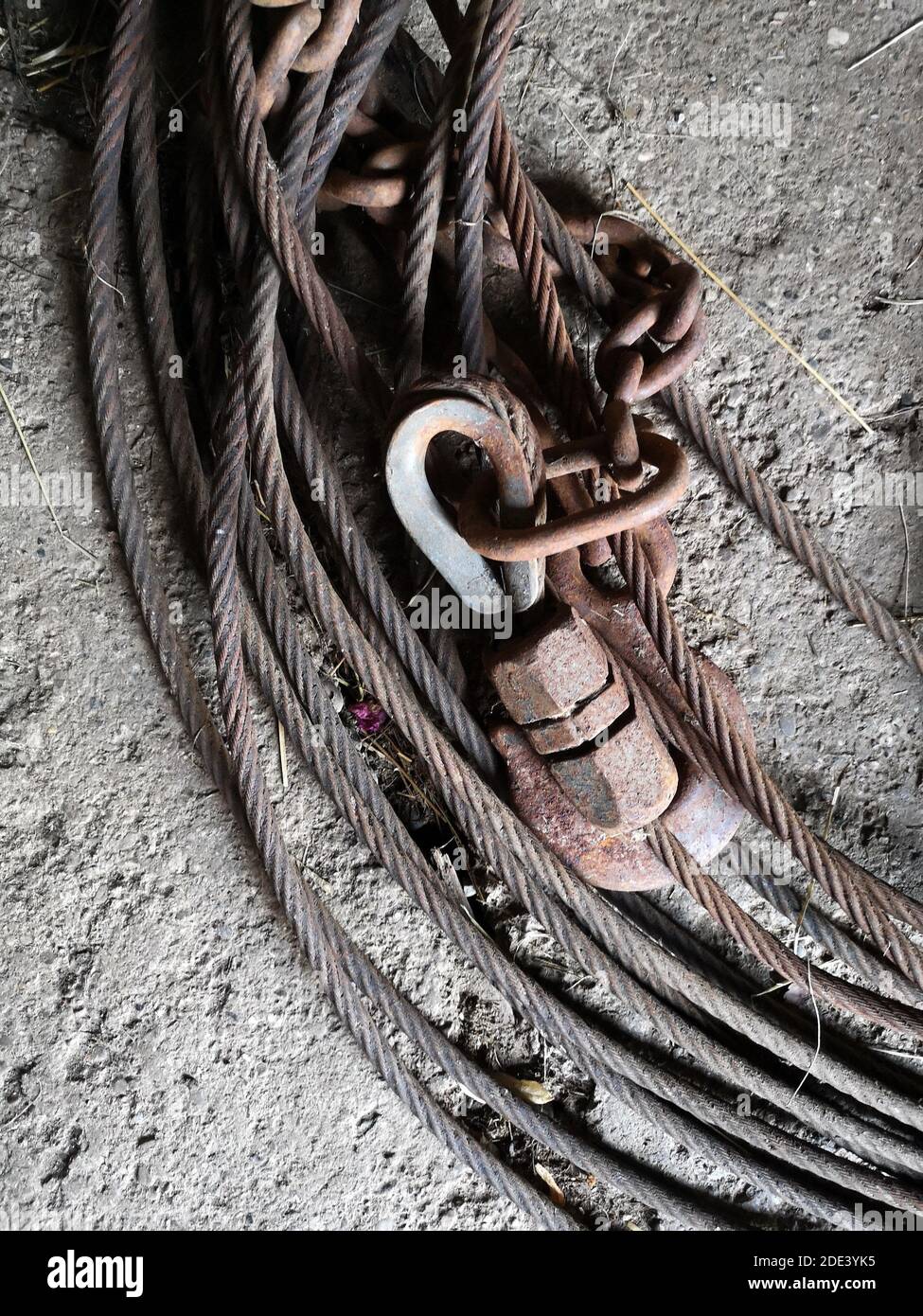 A vertical shot of heavy duty steel wire ropes Stock Photo - Alamy