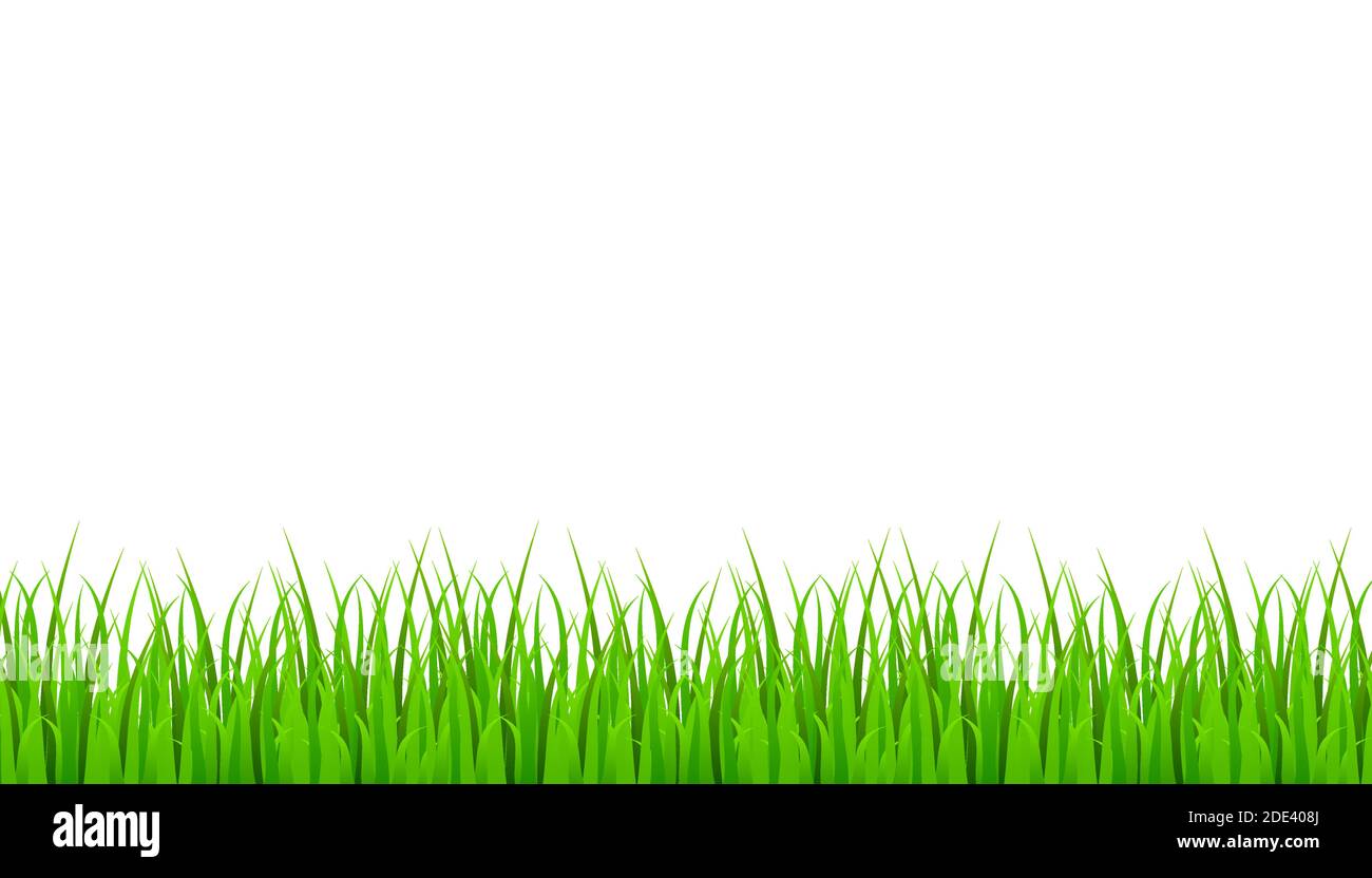 Border lawn Stock Vector Images - Page 3 - Alamy
