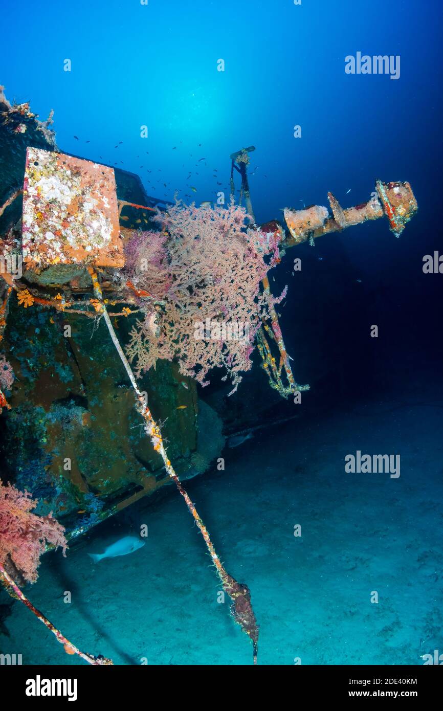 Large shipwreck deep underwater on a coral reef. Stock Photo