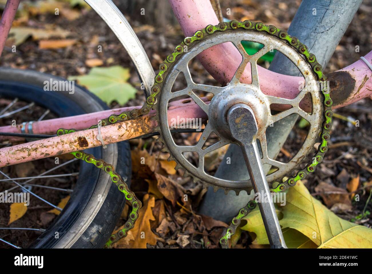 Adding Gears To A Bike atelieryuwa.ciao.jp
