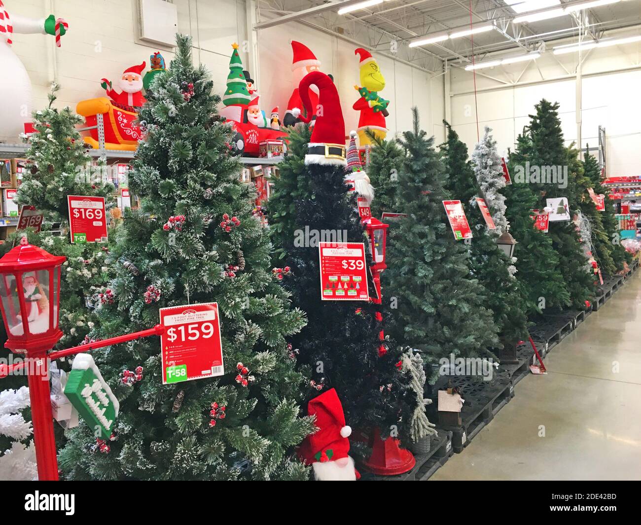 Christmas Tree Store Augusta Ga - Santa Sightings Csra Kids Where To