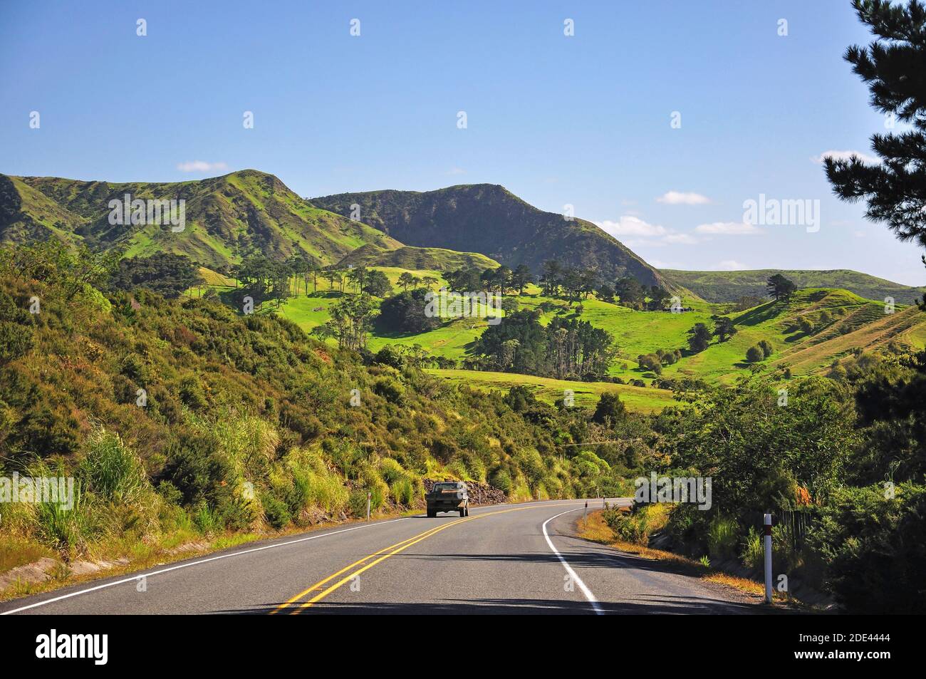 Road through countryside near Waimamaku, Northland Region, North Island, New Zealand Stock Photo
