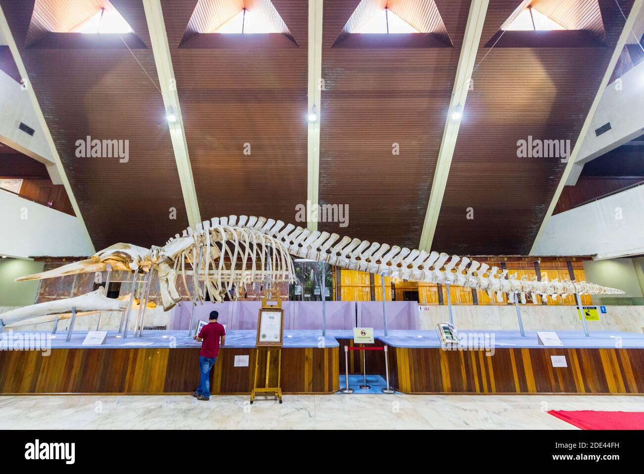 Inside the Sabah Museum in Kota Kinabalu, Malaysia Stock Photo - Alamy