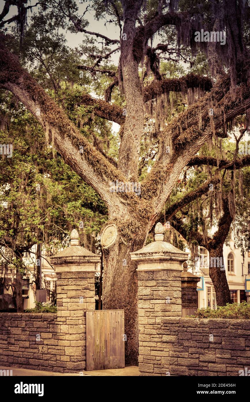 Governors house st augustine hires stock photography and images Alamy