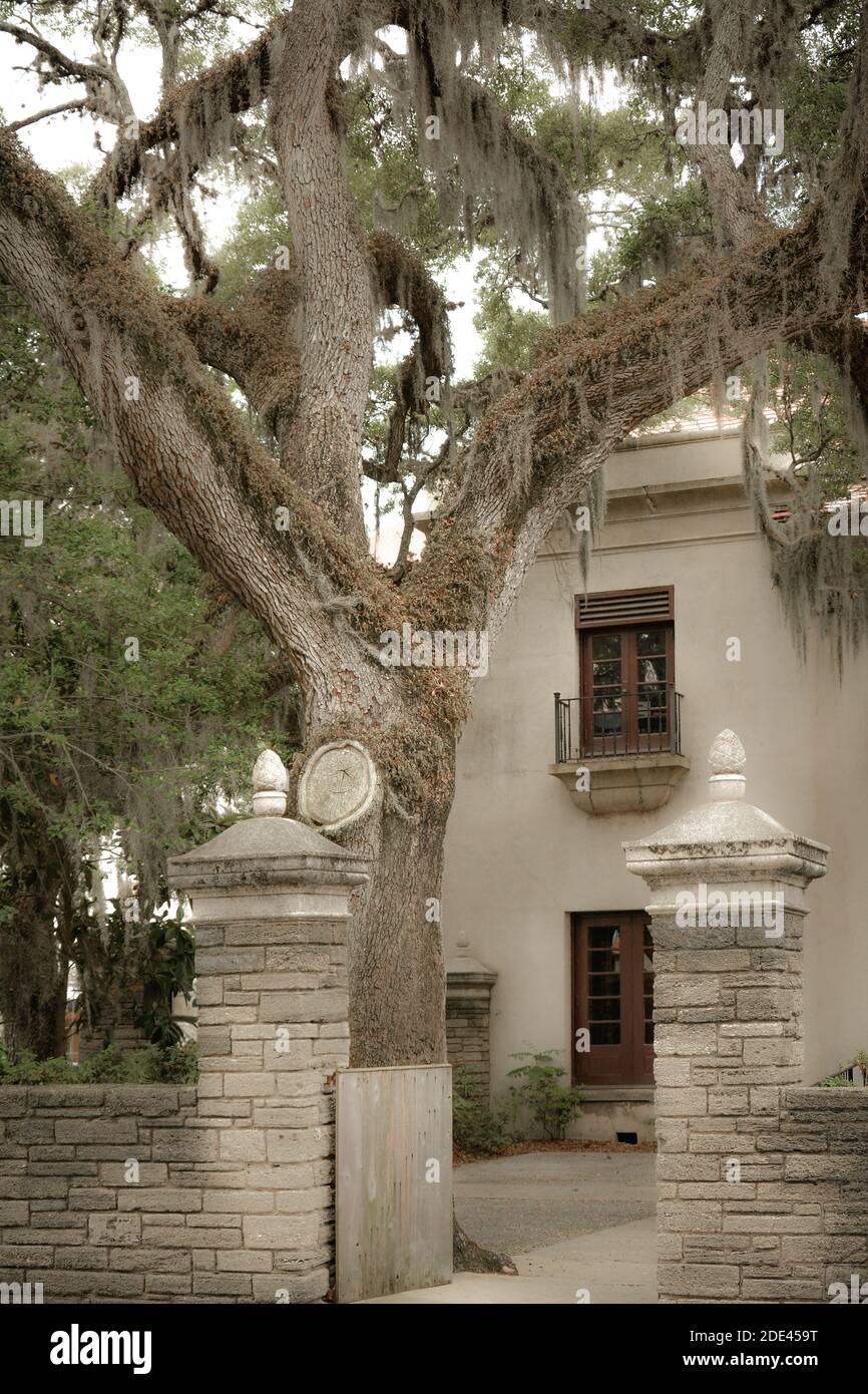 Governors house st augustine hires stock photography and images Alamy