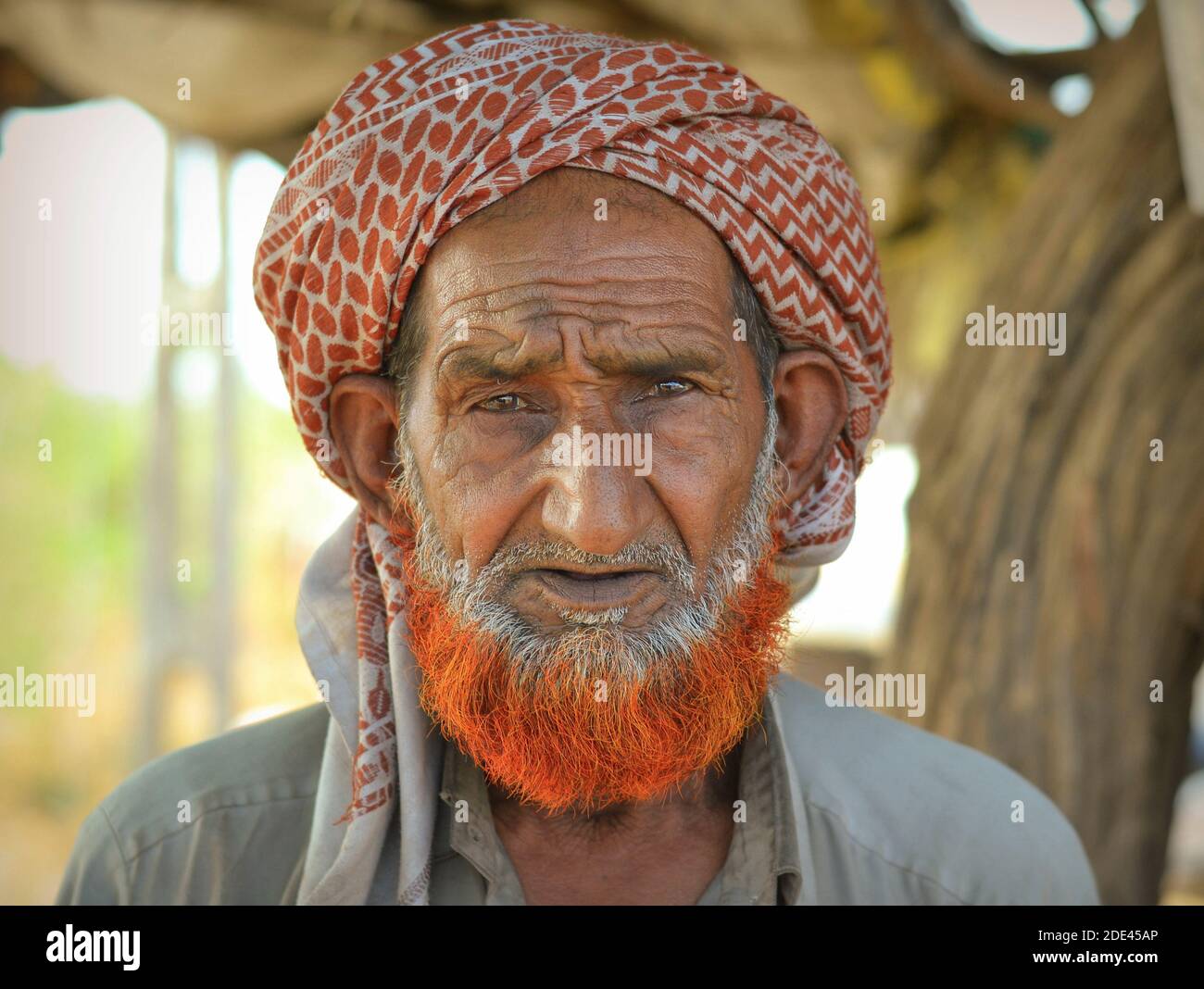 Turbaned old Indian Muslim man with forehead wrinkles, lived-in face and henna-dyed orange Muslim beard poses on the roadside for the camera. Stock Photo