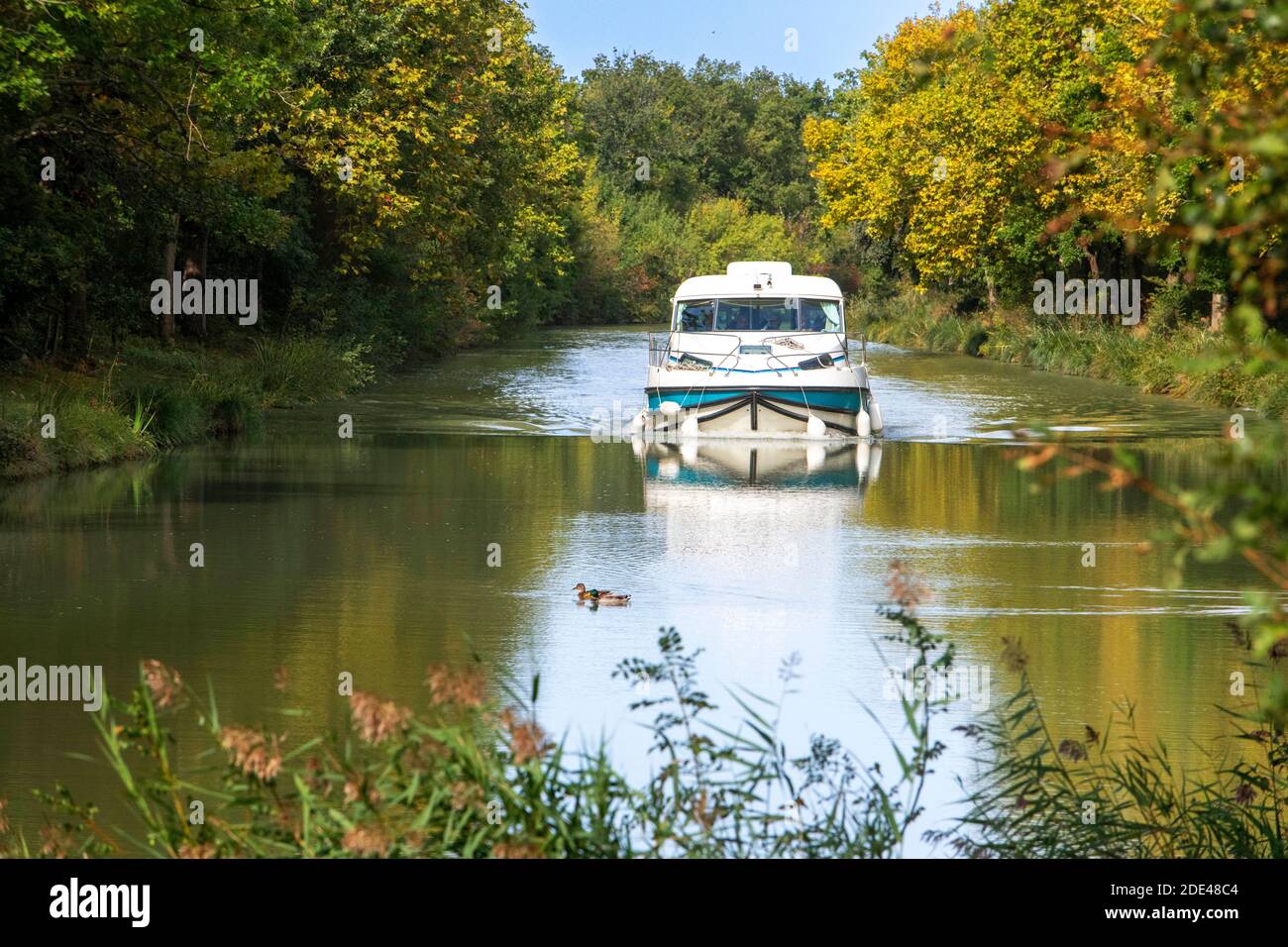 The Canal du Midi, near Carcassonne, French department of Aude, Occitanie Region, Languedoc-Rousillon France. Boats moored on the tree lined canal.  T Stock Photo