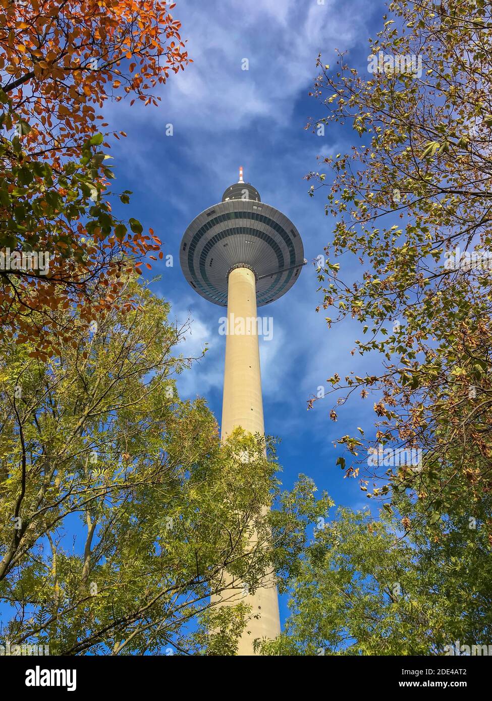 Europe Tower, Ginnheimer Spargel, in autumn, Bundesbankpark, Frankfurt am Main, Hesse, Germany Stock Photo