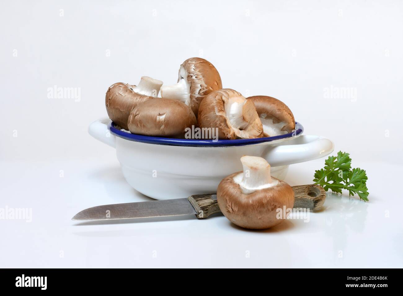 Brown cultivated mushrooms in shell, mushrooms with knife, Germany Stock Photo