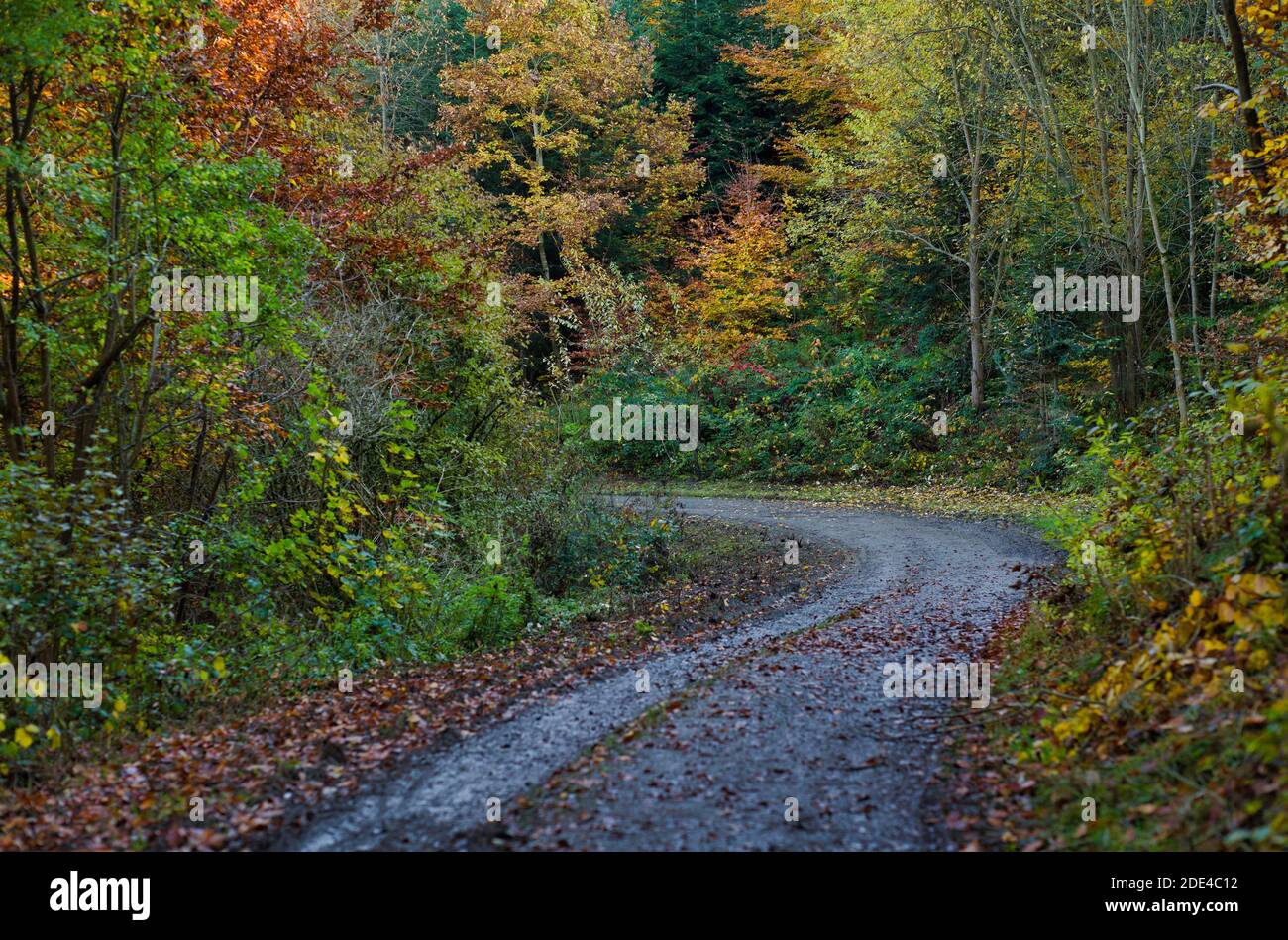 Slippery road near Tuebingen, Baden-Wuerttemberg, Germany Stock Photo