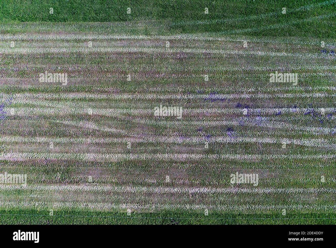 Dunged hi-res stock photography and images - Alamy