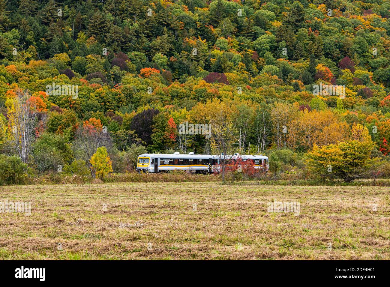 Charlevoix train crossing the natural faunique reserve of Cap-Tourmente, Quebec, Canada. Stock Photo