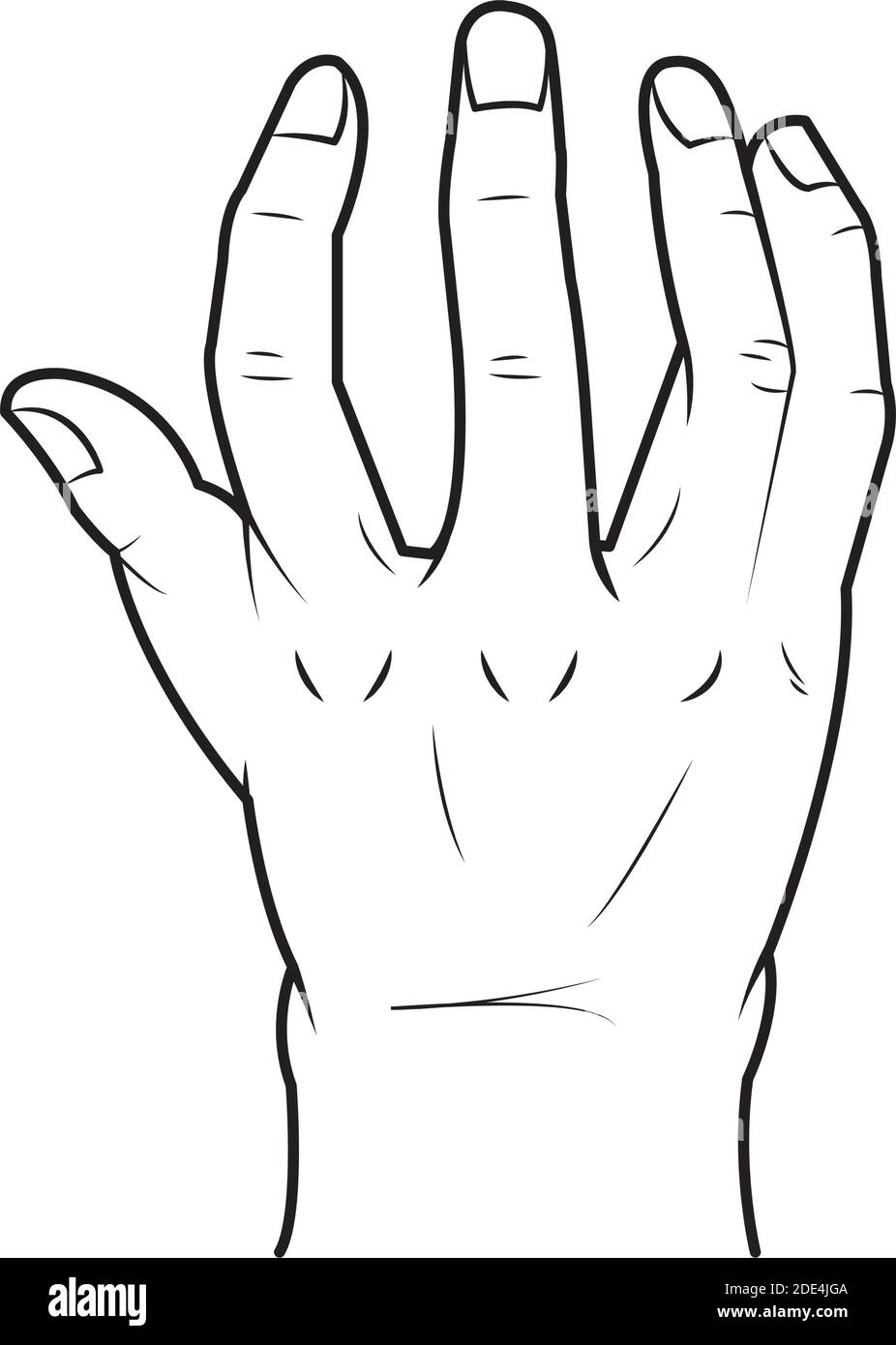 sketch of grabbing hand over white background, vector illustration