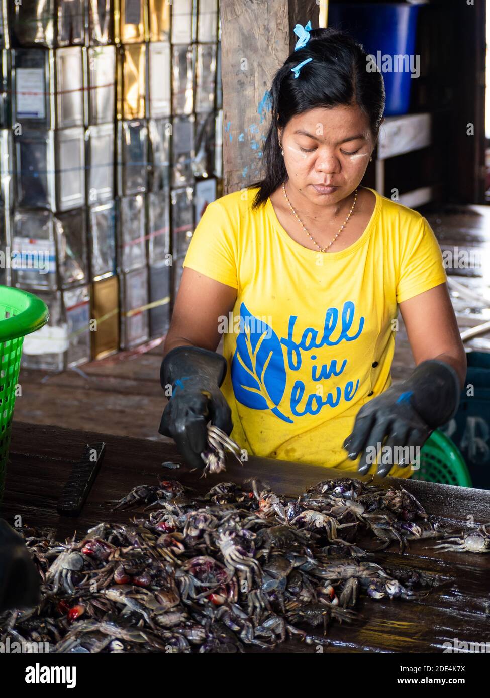 Burmese seafood hires stock photography and images Alamy