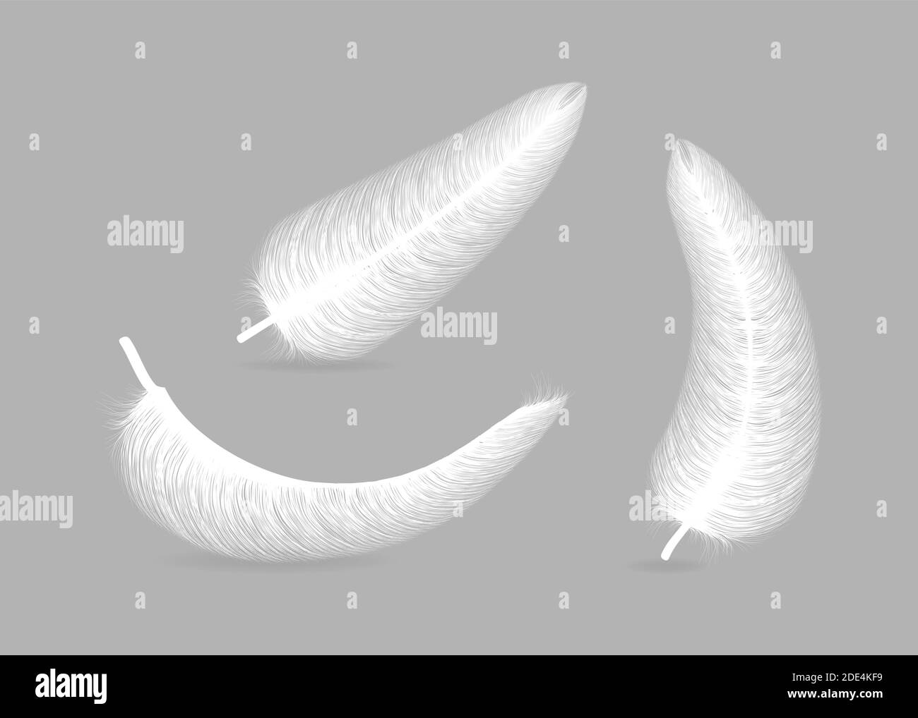 fluffy feather with shadow vector realistic set isolated on transparent background. Stock Vector