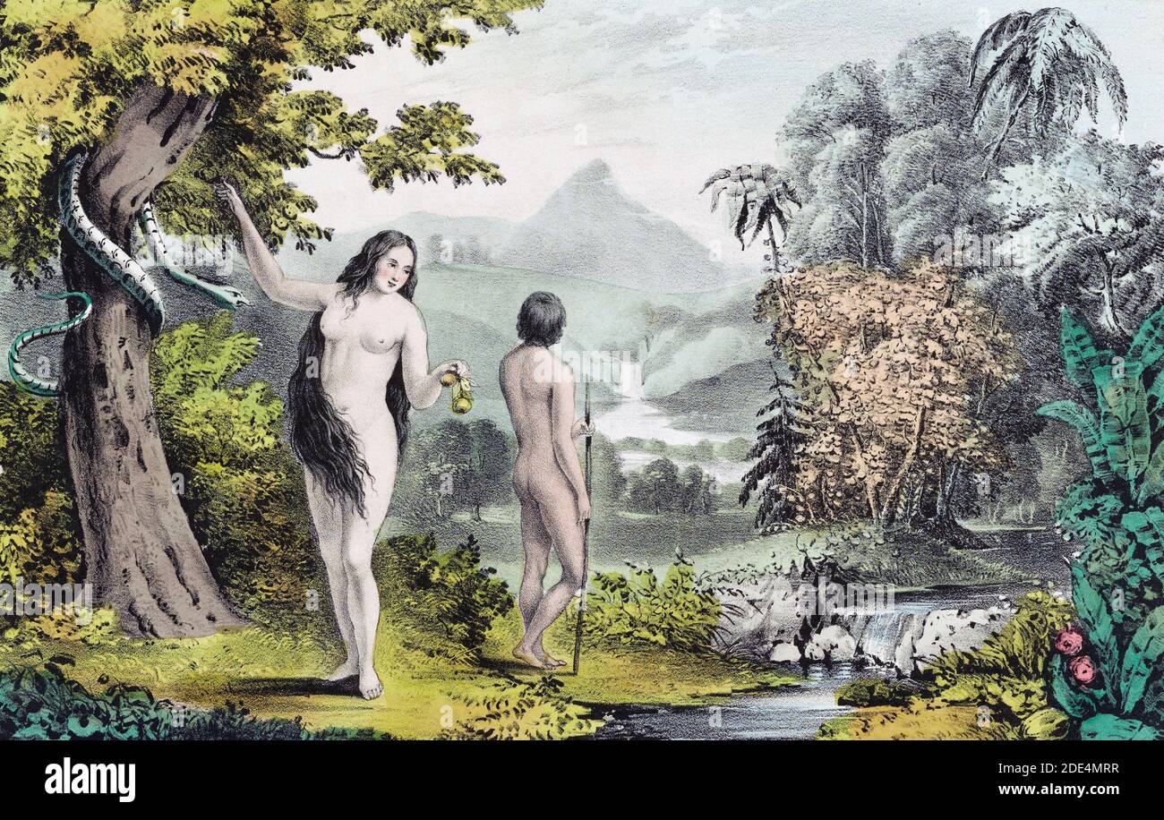 Adam And Eve Drawings - Artwork Collection Of Drawings Adam Eve 3 88 Buy On Artnow Ru : The branch adam holds is of the mountain ash, the tree of life.