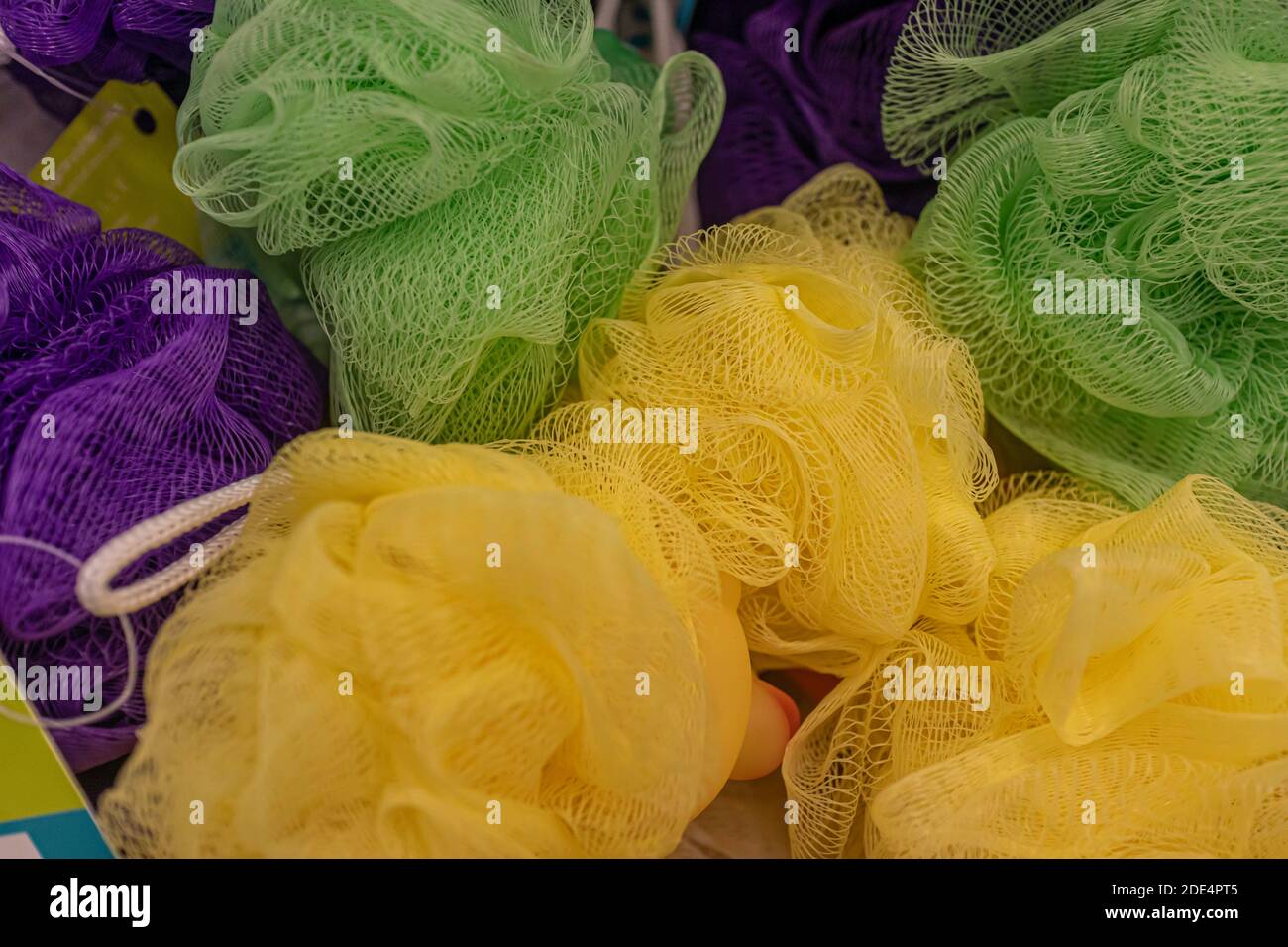 Bath Lillies on display in super market Stock Photo