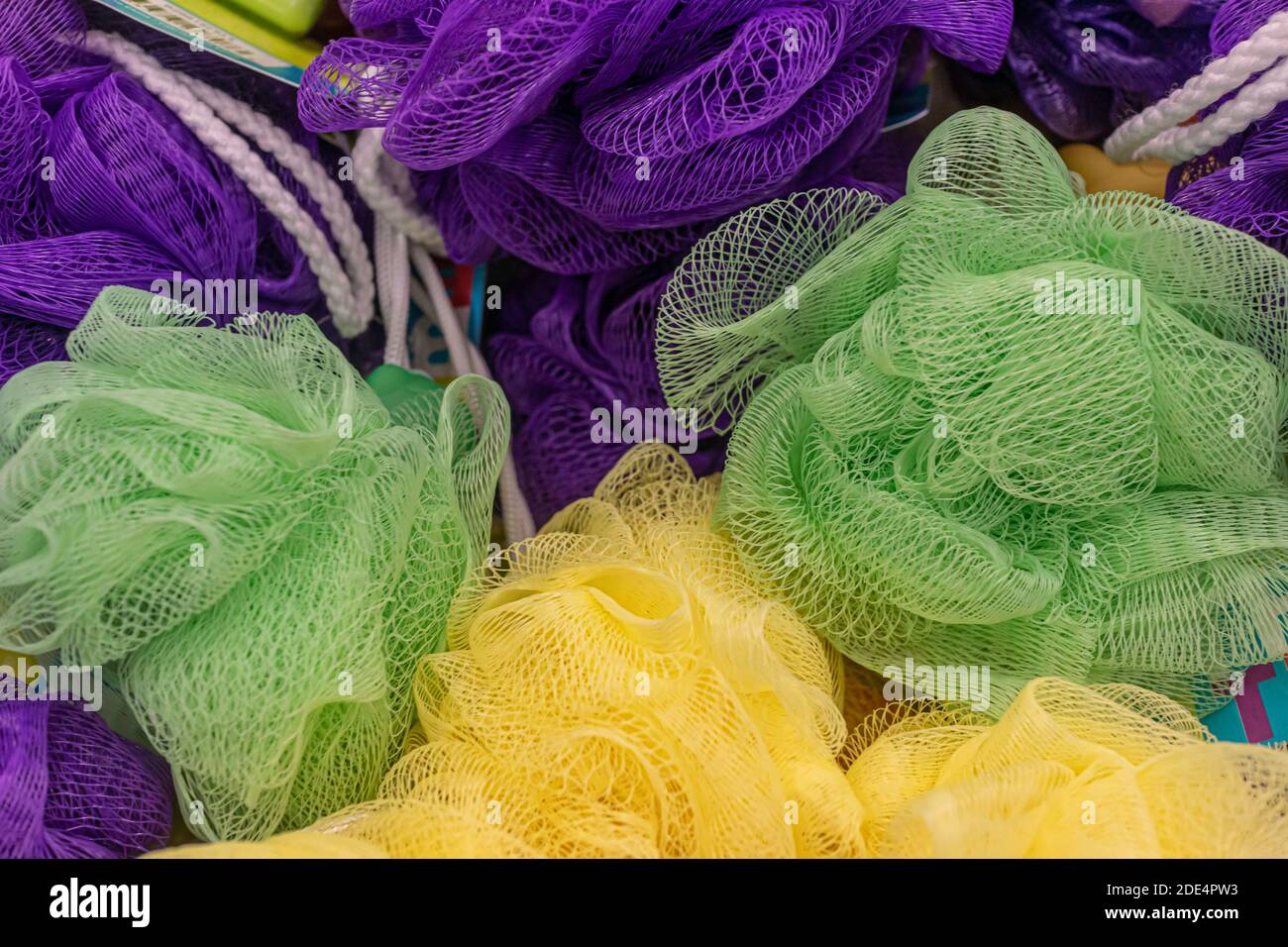 Bath Lillies on display in super market Stock Photo