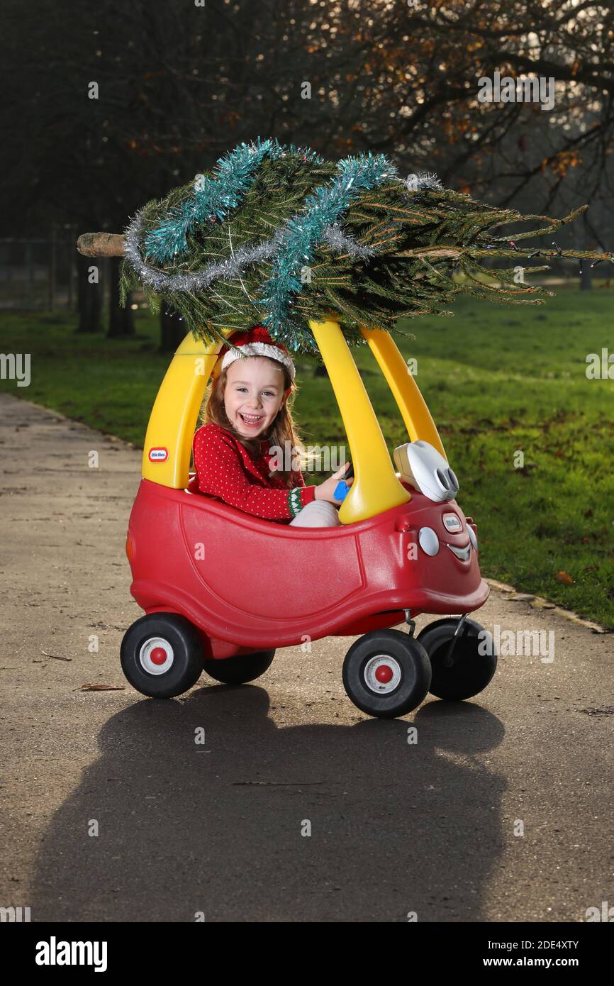 Cute five-year-old girl, Florence, pictured dressed as a Christmas Elf and delivering a small Christmas tree on her classic red Little Tikes car, UK. Stock Photo