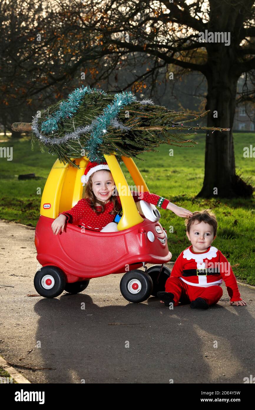 Cute five-year-old girl, Florence, pictured dressed as a Christmas Elf and delivering a small Christmas tree on her classic red Little Tikes car, UK. Stock Photo