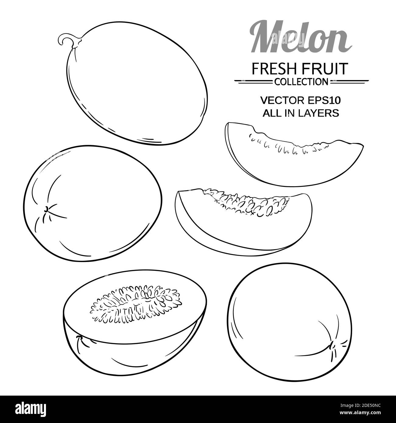 melon vector set Stock Vector Image & Art Alamy
