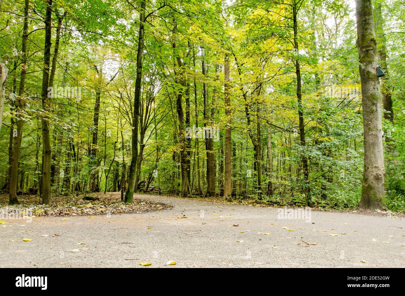 Rotterdam junction hires stock photography and images Alamy