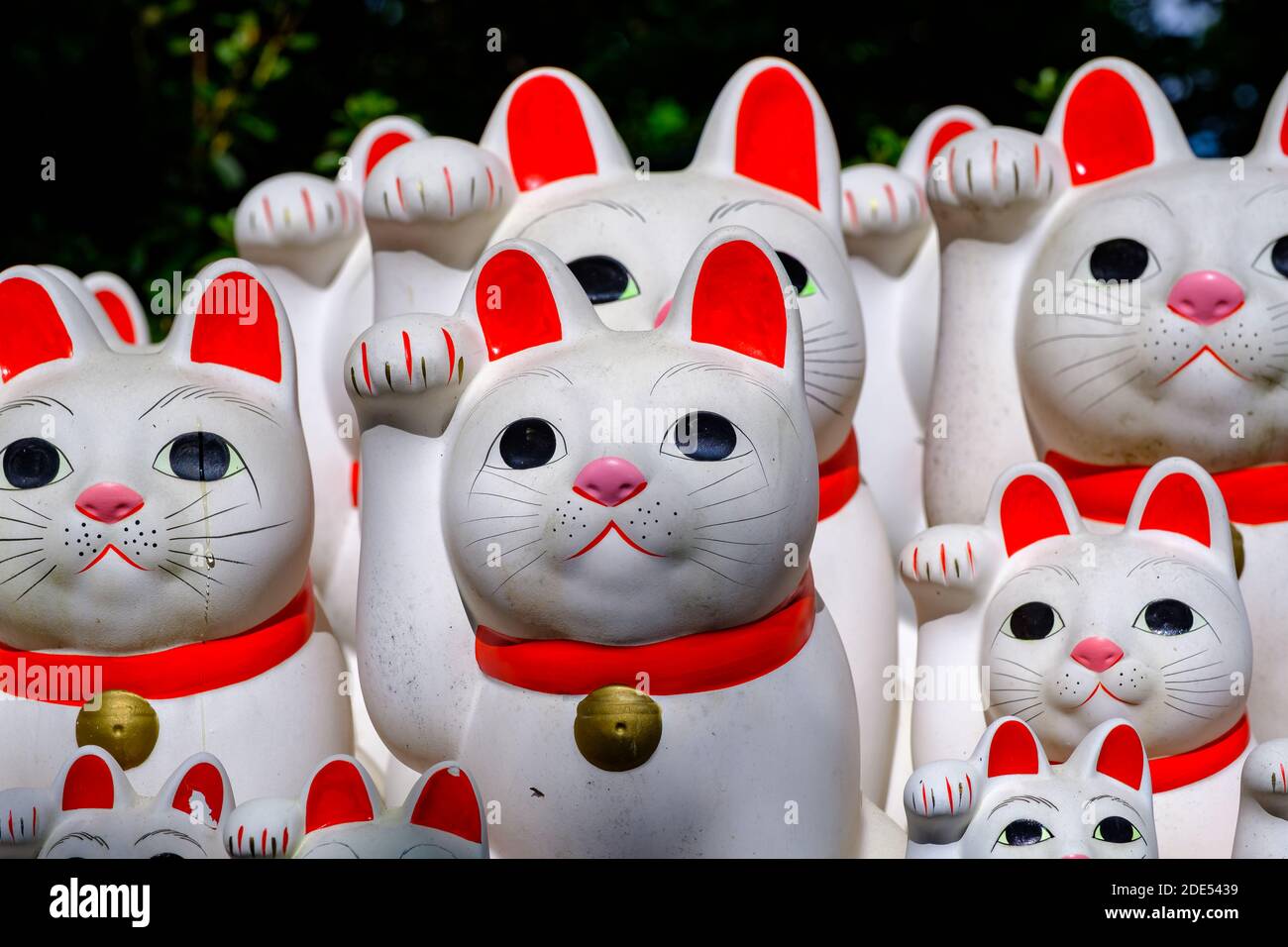 Japanese lucky cats Stock Photo Alamy