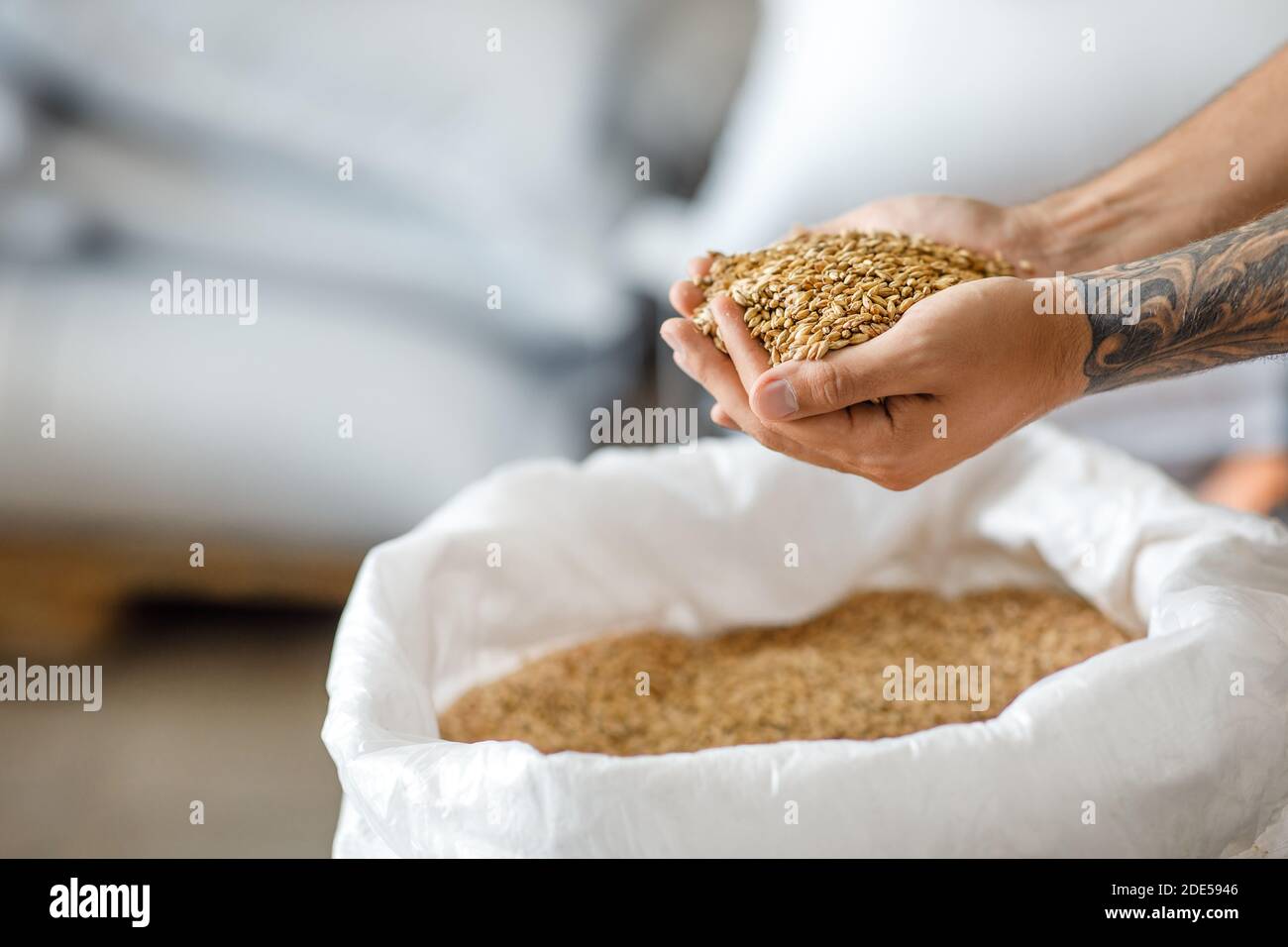 Organic grains for brewing, startup and small business Stock Photo Alamy