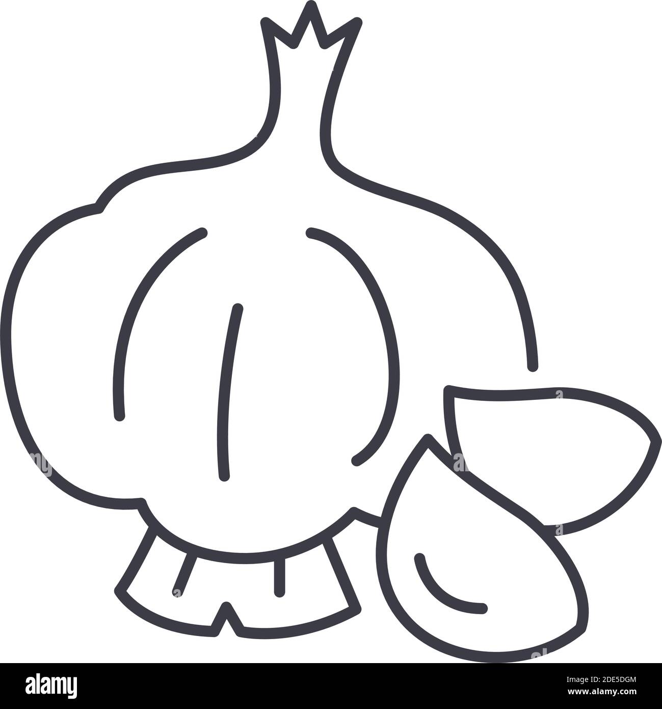 Garlic vegetable icon, linear isolated illustration, thin line vector ...