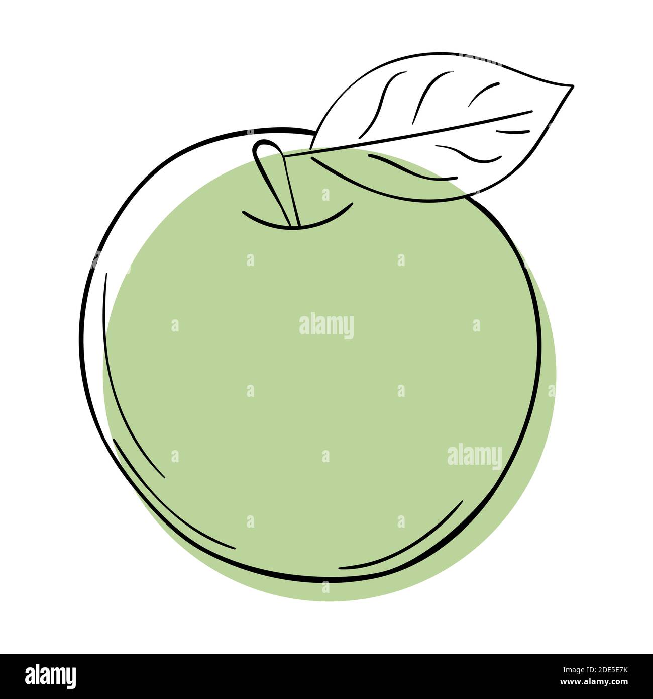Vector line apple. Green sinmple doodle fruit. Design element Stock Vector
