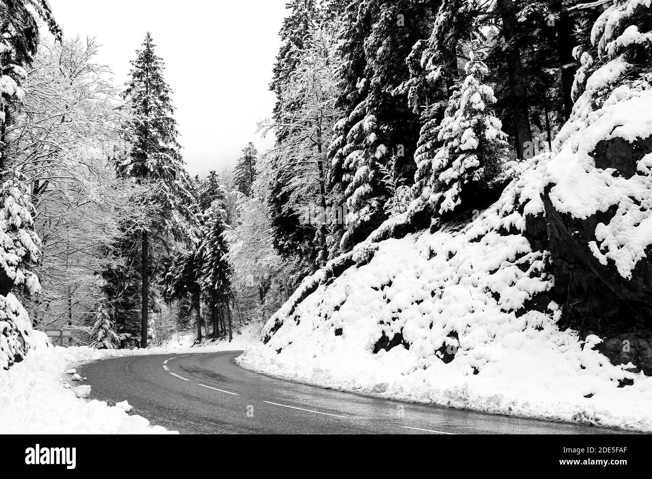 Empty road fir forest Black and White Stock Photos & Images - Alamy