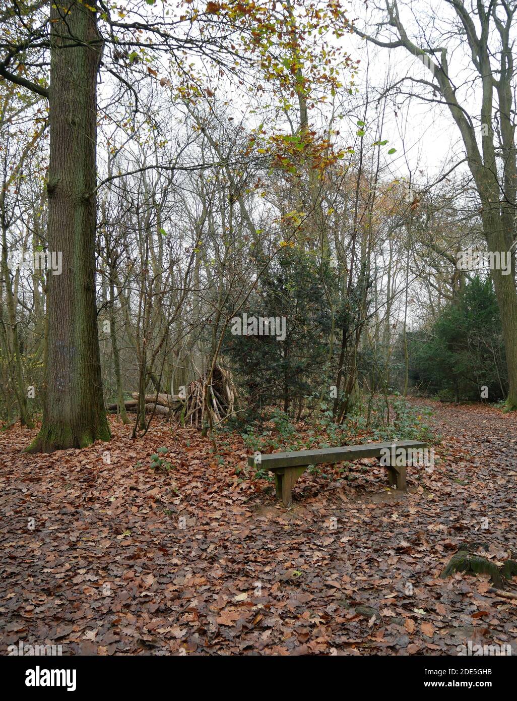 Selsdon hires stock photography and images Alamy